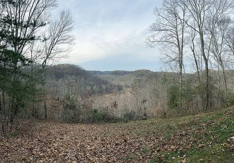 Lot 145 Stillwater, Russell Springs, KY 42642 - #2