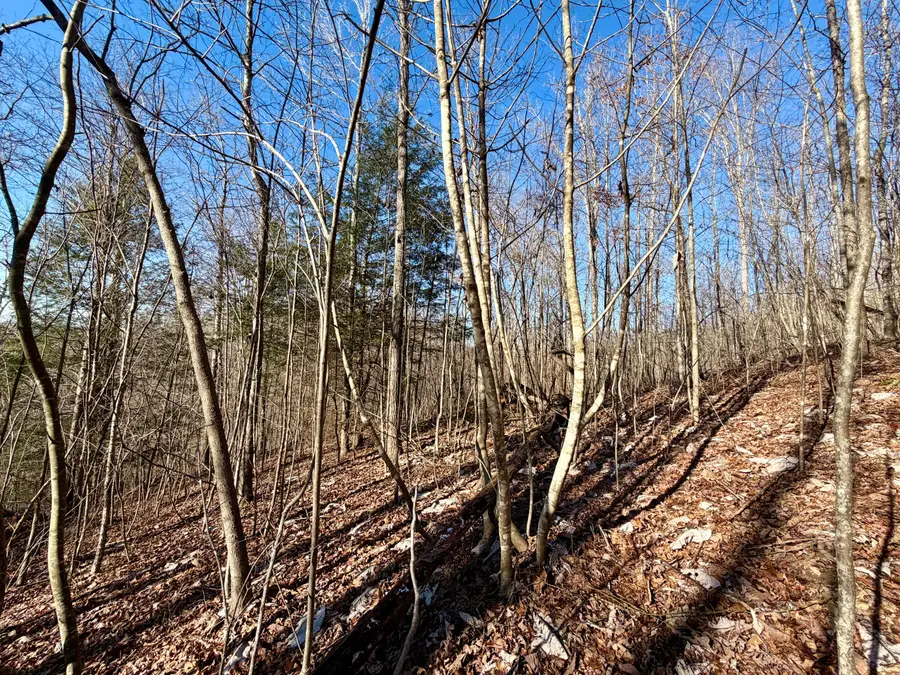 9999 Rocky Branch Road, East Bernstadt, KY 40729 - Image #3