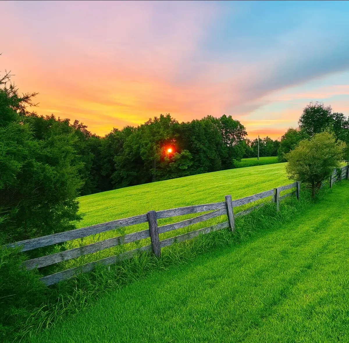 1231 Pleasant Grove Ridge Road, Lawrenceburg, KY 40342 - Image #1