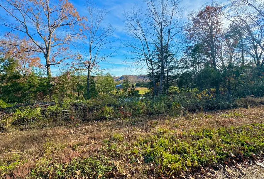 9108 S Ky-501 Highway, Liberty, KY 42539 - Image #2