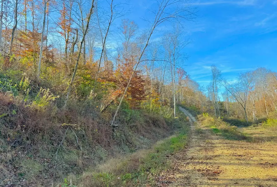 9108 S 501, Liberty, KY 42539 - Image #3