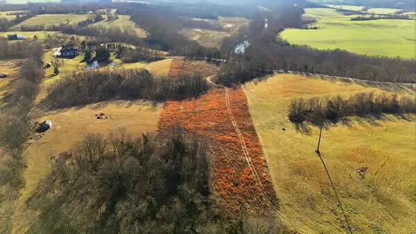 Tract 2-L Yoder Tipon Road, Taylorsville, KY 40071 - Image #2