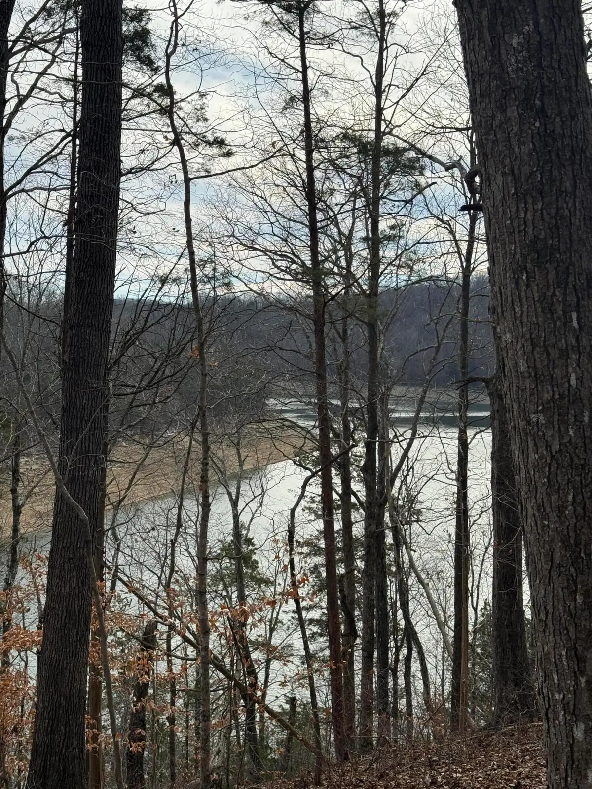 18, Section B Twin Creeks, Jamestown, KY 42629 - Image #1