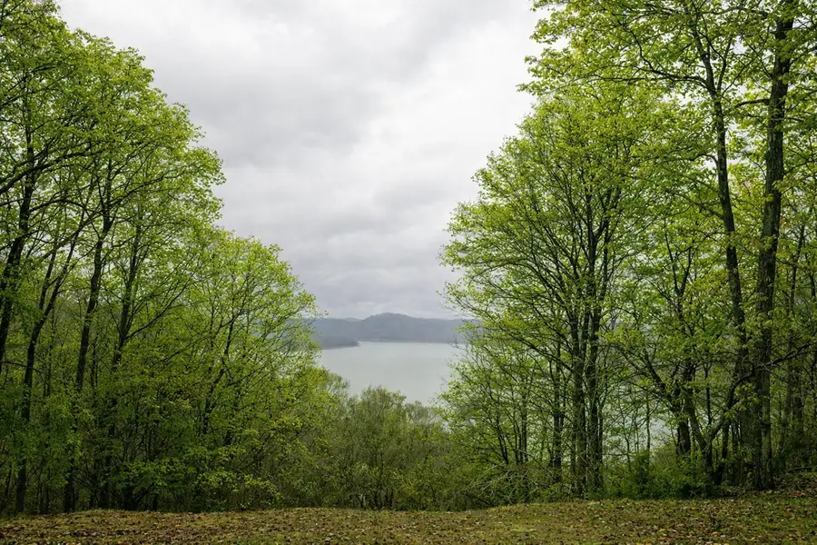 312 Bobcat Lane, Salt Lick, KY 40371 - Image #3