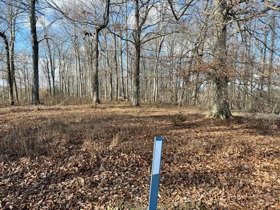 90 Paradise Alley, Russell Springs, KY 42642 - Image #2