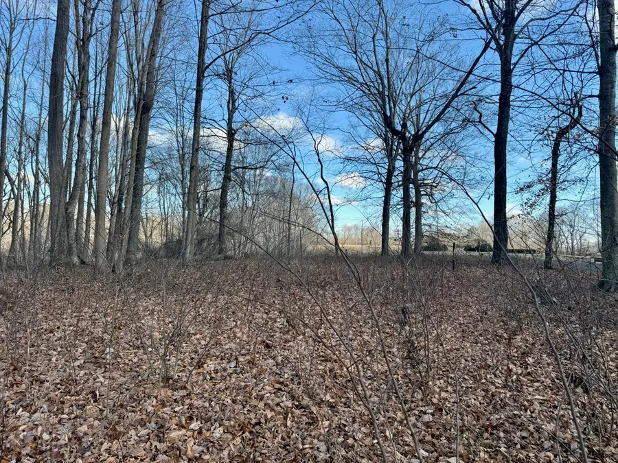 90 Paradise Alley, Russell Springs, KY 42642 - Image #3