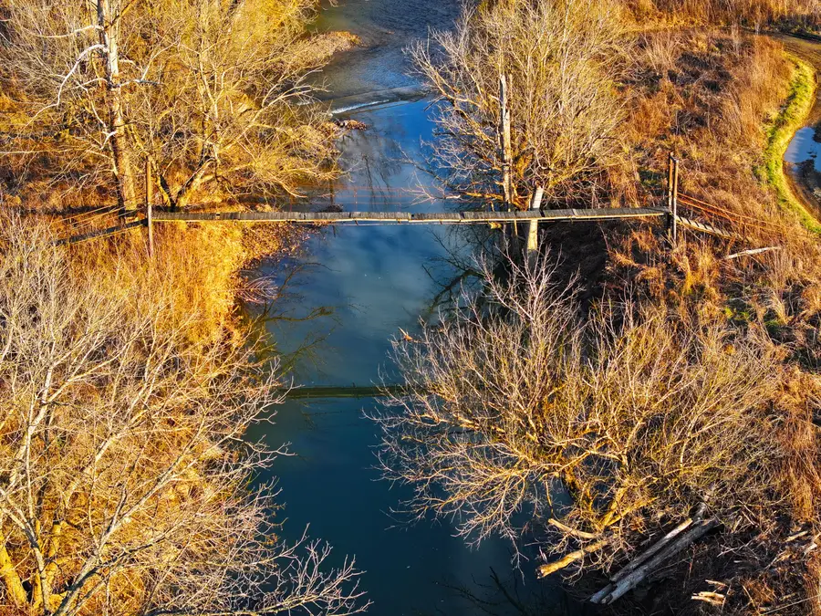 9999 Red Lick, Irvine, KY 40336 - Image #3