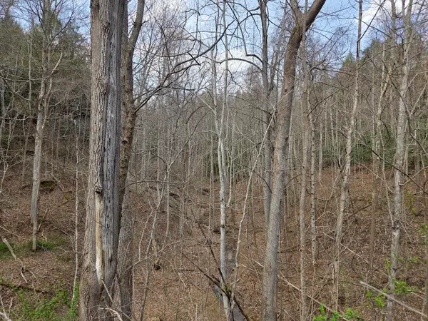 MAP: 105-80-00-039.00 D Street, Louisa, KY 41230