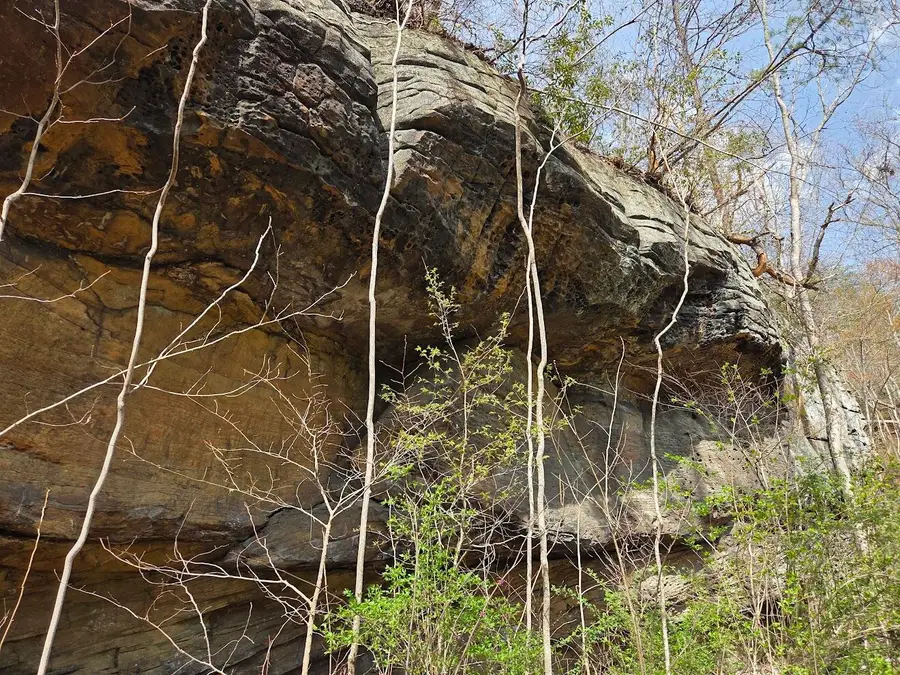 MAP: 105-80-00-039.00 D Street, Louisa, KY 41230 - Image #2