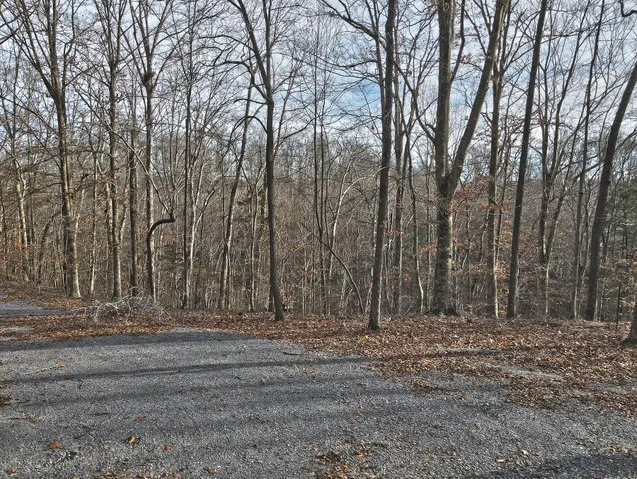 44 Carson Road, Russell Springs, KY 42642 - Image #3