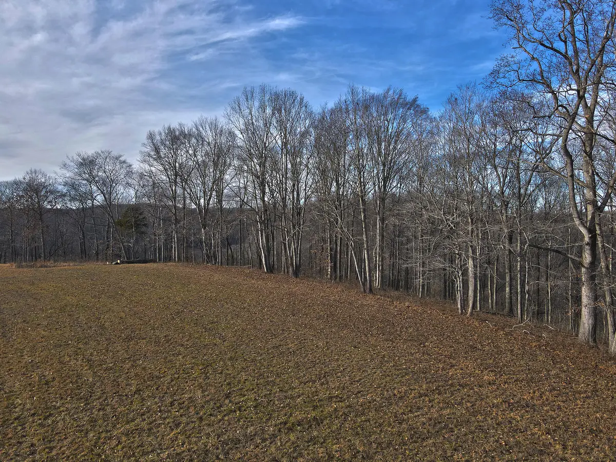 16 Dockery Road, Russell Springs, KY 42642 - Image #1