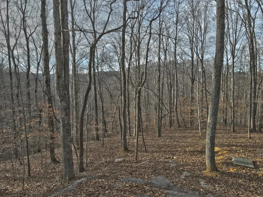 25 Piper Road, Russell Springs, KY 42642 - Image #2