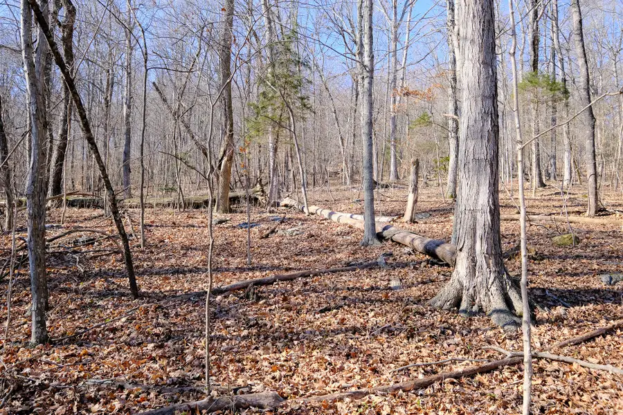 166 Regal Avenue, Somerset, KY 42501 - Image #2