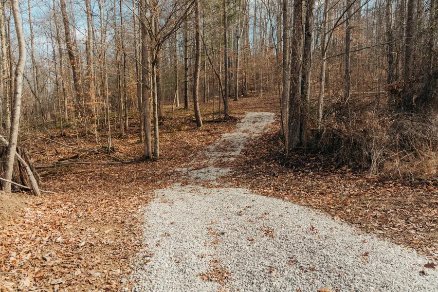 0 tbd Whites Branch Road, Wellington, KY 40387 - Image #3