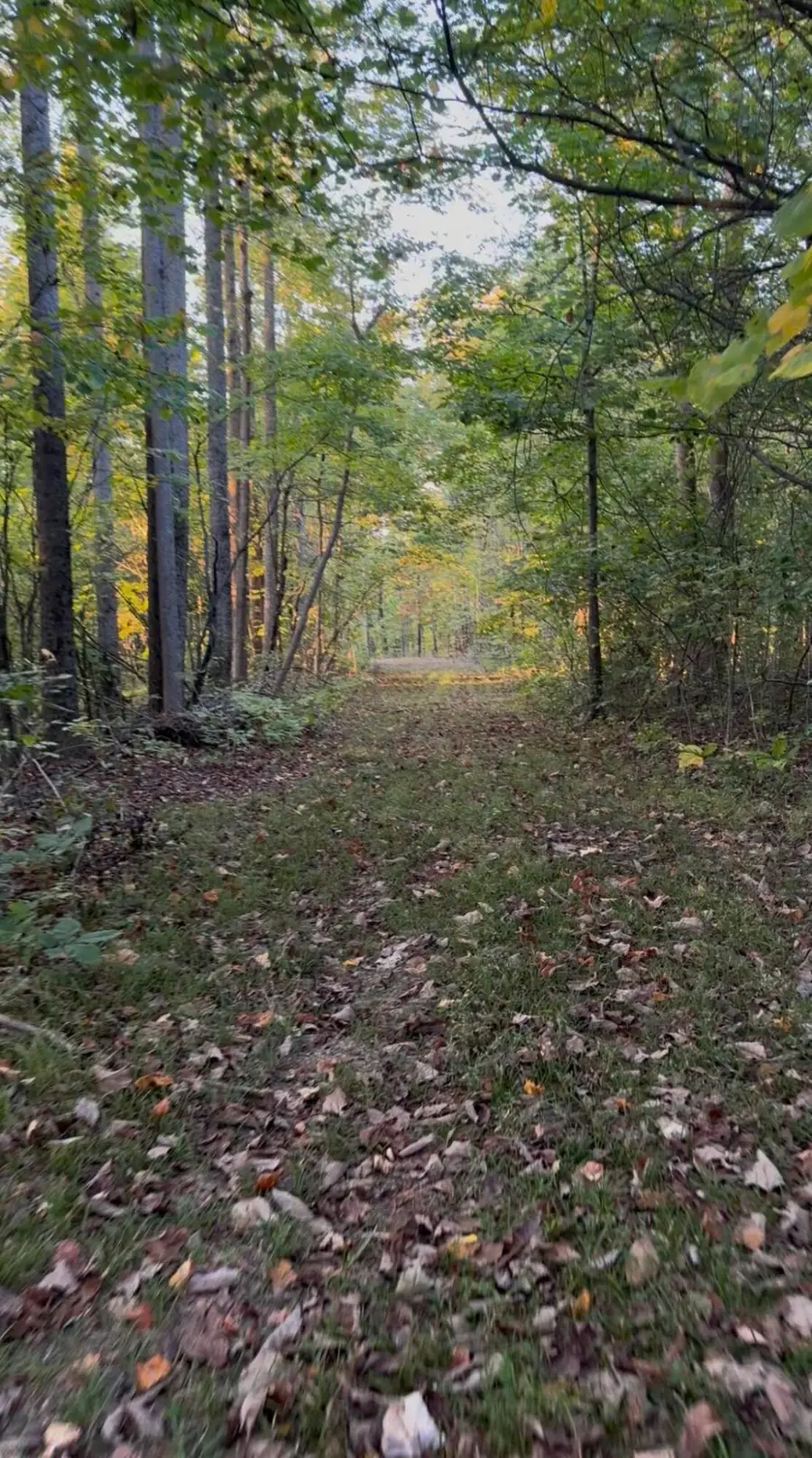 1570 Hwy 3249 #B, Stanford, KY 40484 - #3