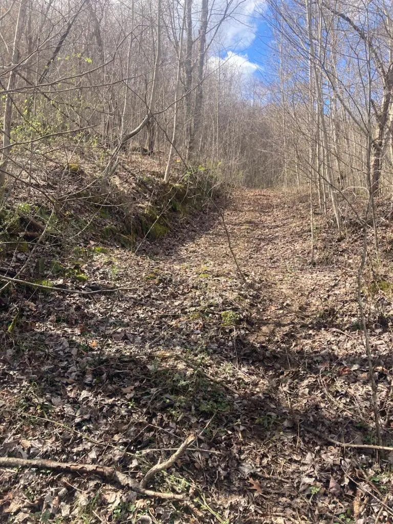 6 Toby Road, Manchester, KY 40962 - #3