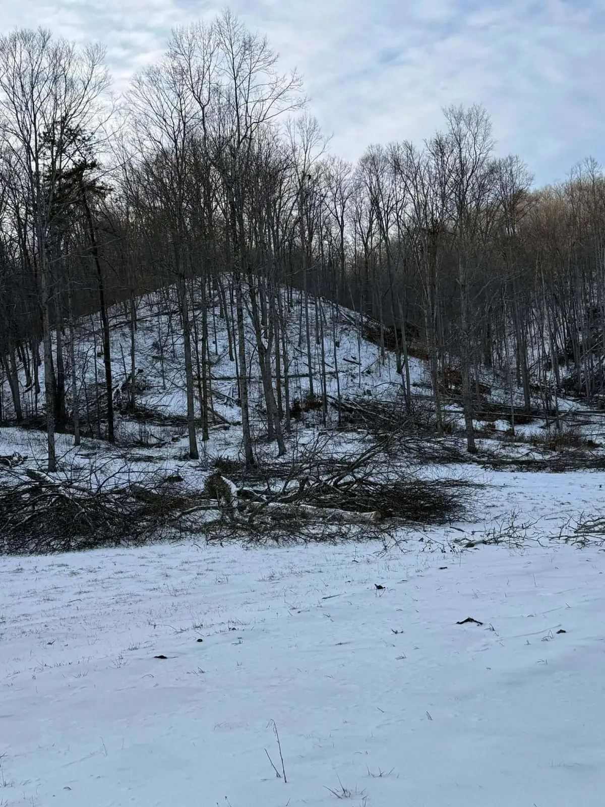 0 Big Perry Road, Morehead, KY 40351 - #1