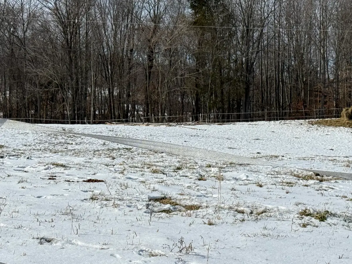 787 Cooper Hollow Road, Monticello, KY 42633 - #1