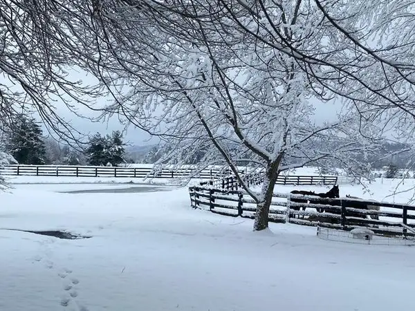 575 Smith Brewer Road, London, KY 40744