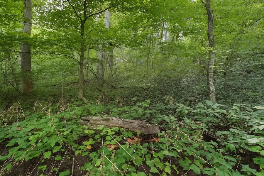 0 Nada Tunnel Rd, Stanton, KY 40380 - #2