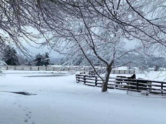 575 Smith Brewer Road, London, KY 40744 - Image #1