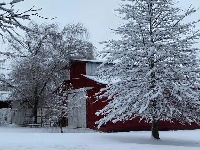 575 Smith Brewer Road, London, KY 40744 - Image #2