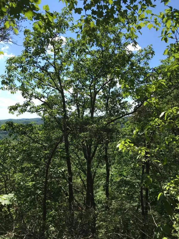 0 South Fork, Stanton, KY 40380