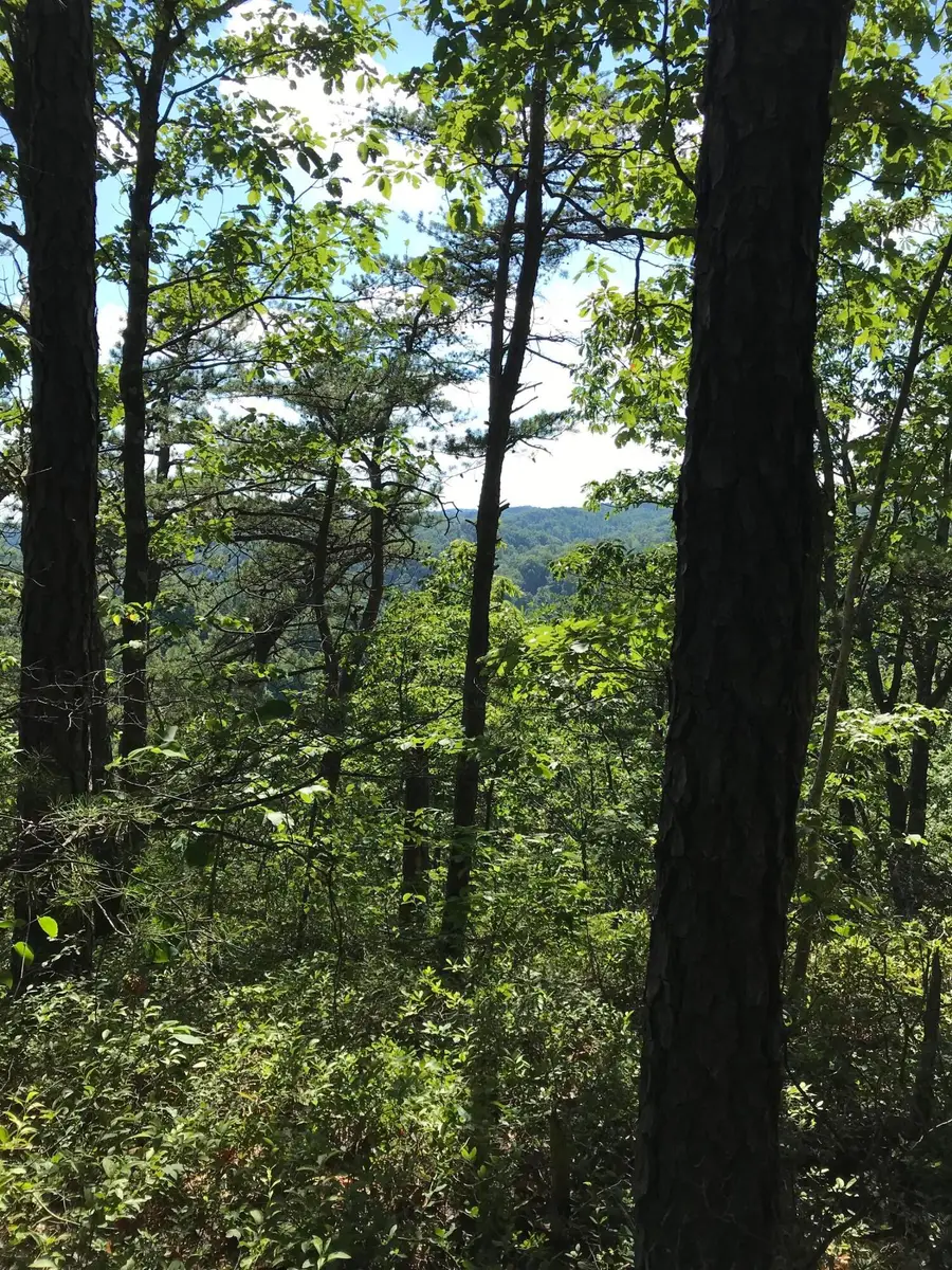 0 South Fork, Stanton, KY 40380 - #3