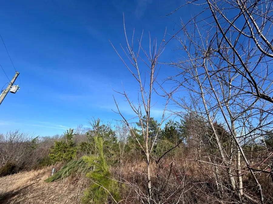 Lots 1 & 14 Barefoot Lane, Monticello, KY 42633 - #2