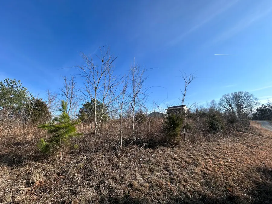 Lots 1 & 14 Barefoot Lane, Monticello, KY 42633 - #3