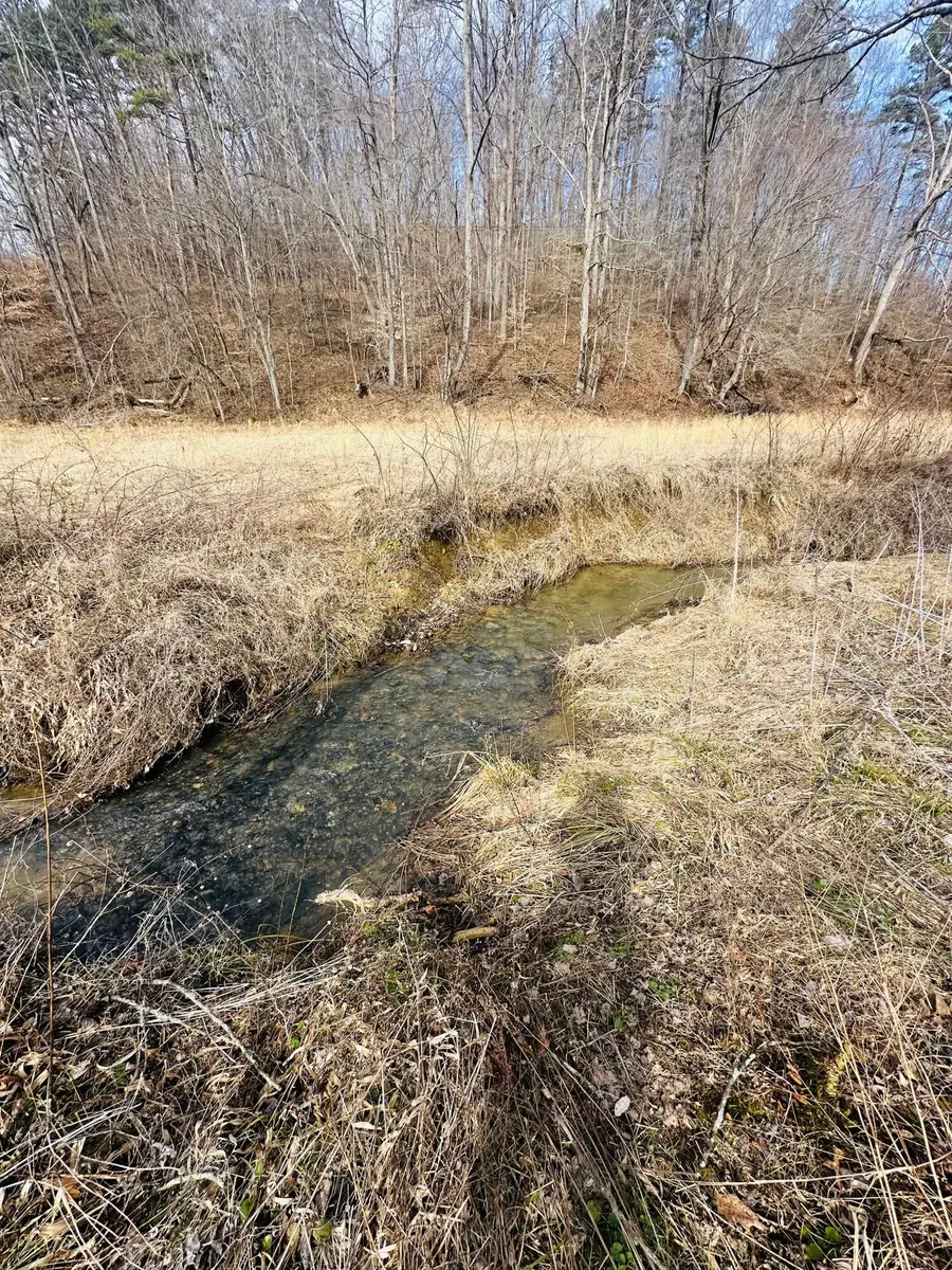 780 Shib Branch Road, Manchester, KY 40962 - #3