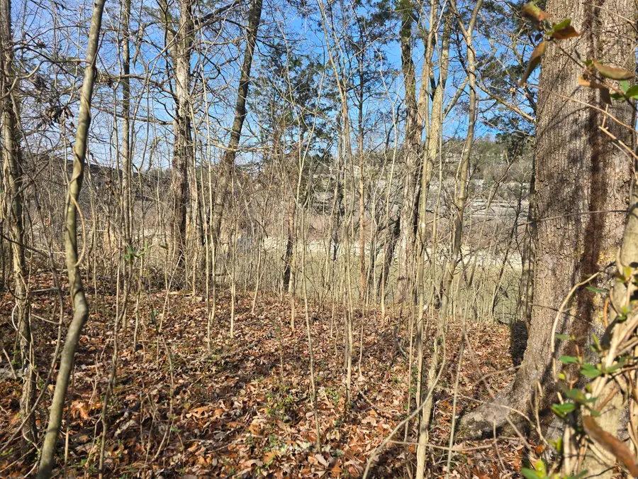 386 E Lakeshore Drive, Burnside, KY 42519 - #2