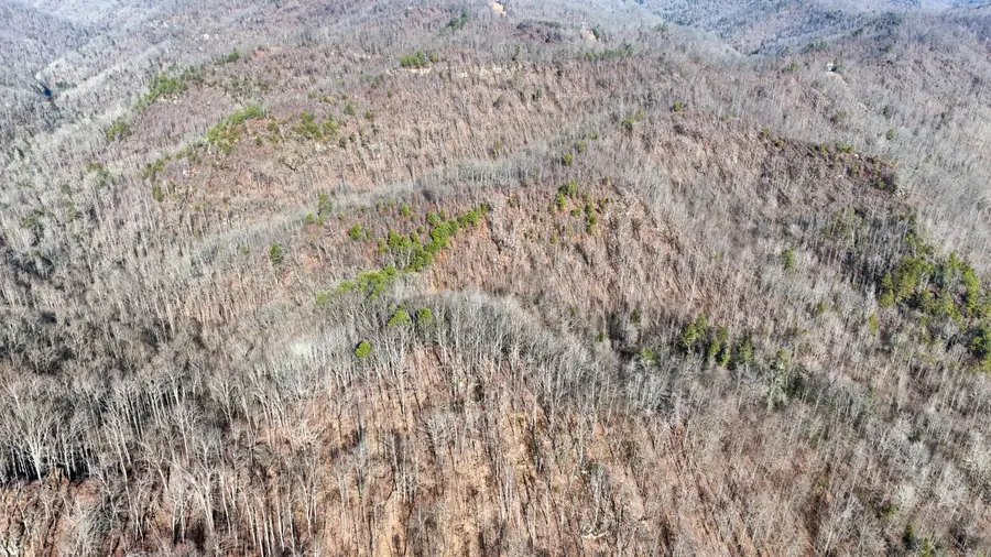 0 Polls Creek Road, Yeaddiss, KY 41777 - #3