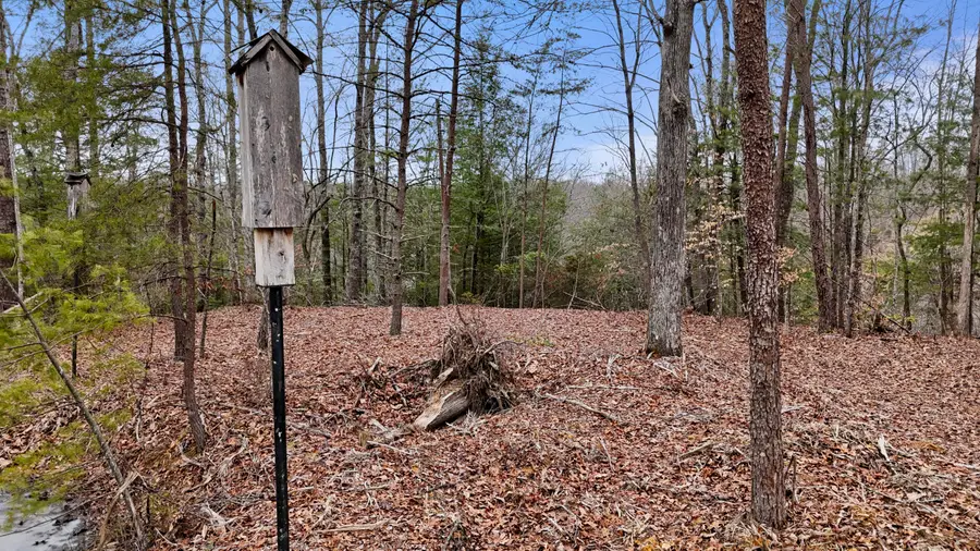 235 Eureka Road, Zoe, KY 41397 - #3