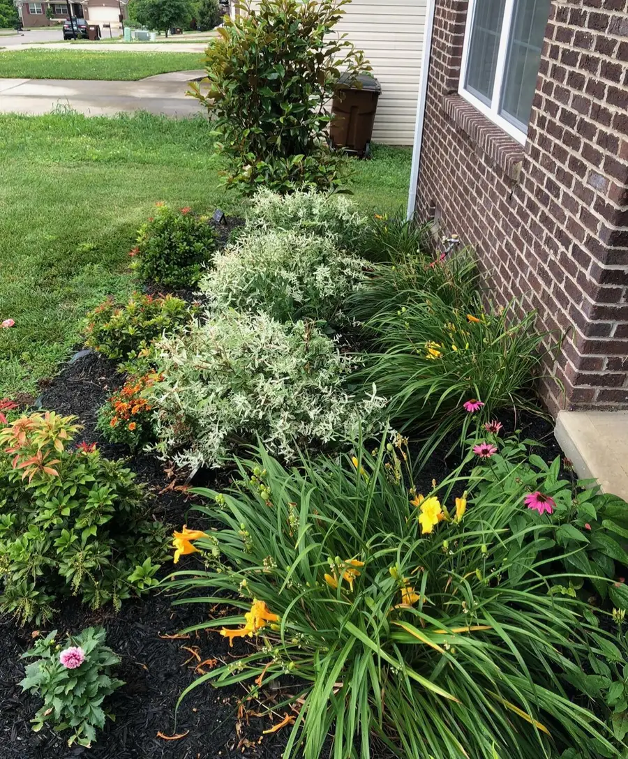 620 Fairfax Lane, Richmond, KY 40475 - #3