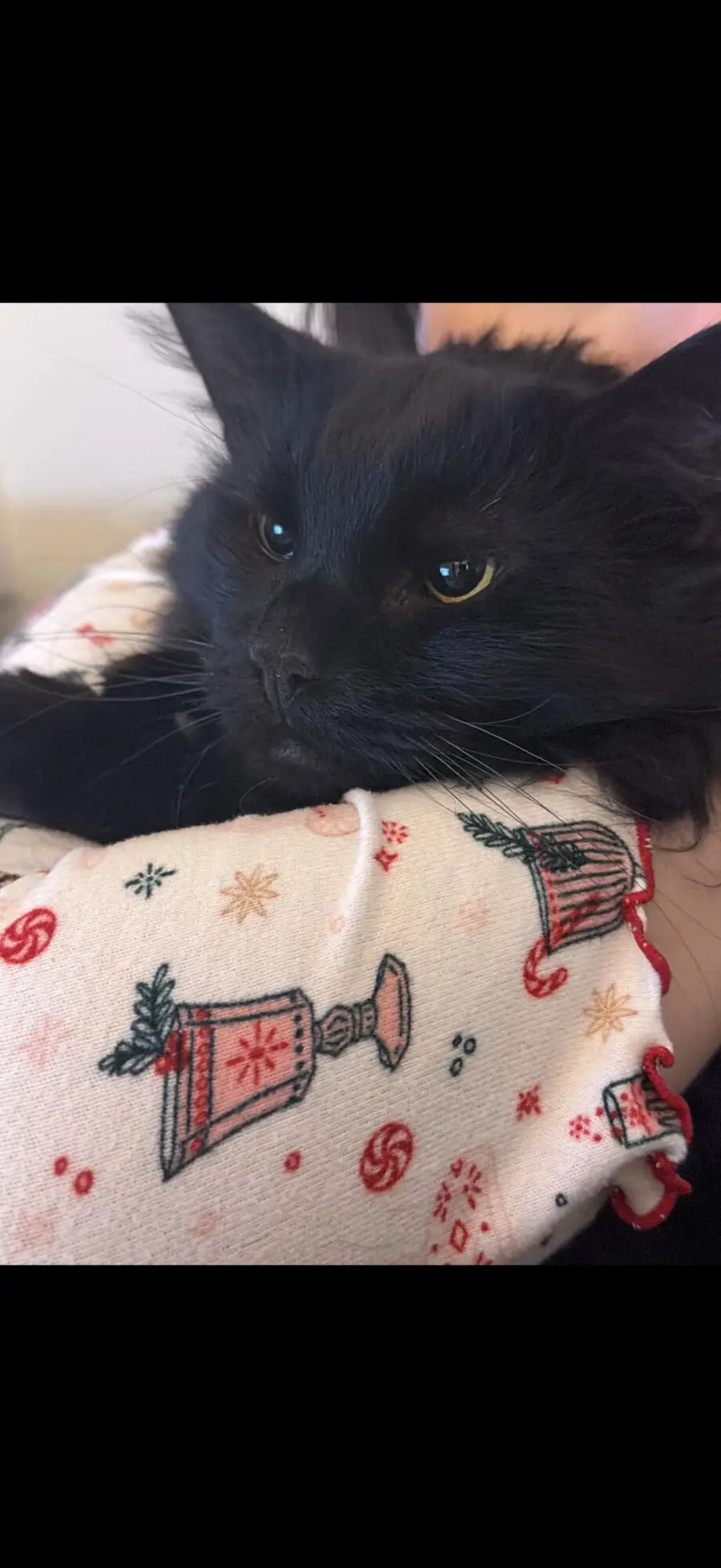 844 Ridgewood Drive #1-2-3-4-5-6-7, Berea, KY 40403 - #2