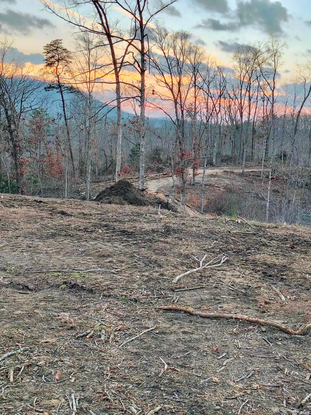 Lot 1 Woodland Estates, Irvine, KY 40336 - #1