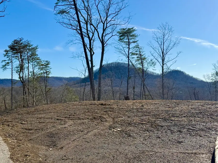 Lot 1 Woodland Estates, Irvine, KY 40336 - #2