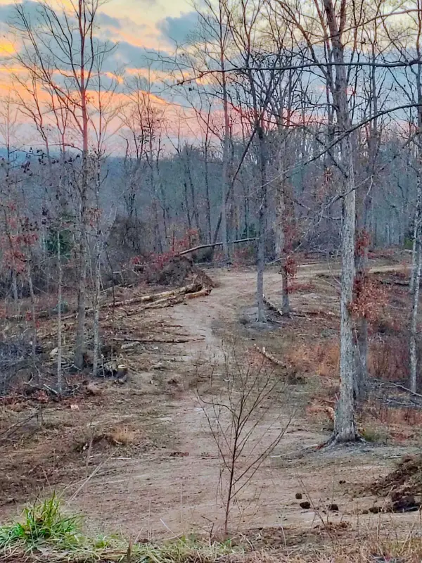 Lot 2 Woodland Estates, Irvine, KY 40336