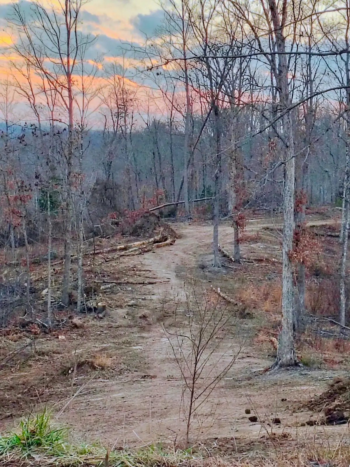 Lot 3 Woodland Estates, Irvine, KY 40336 - #1