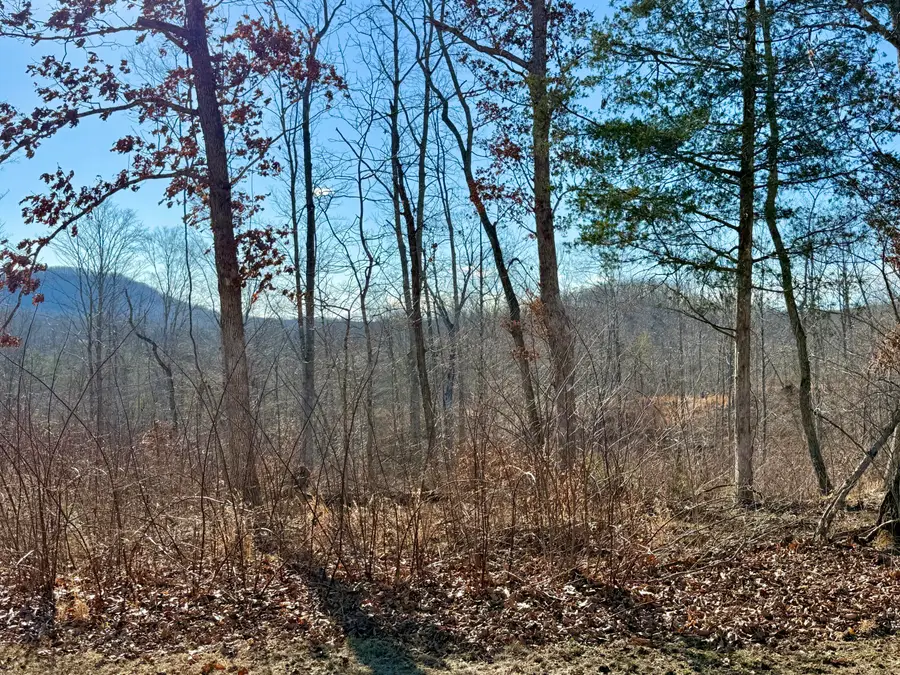 Lot 3 Woodland Estates, Irvine, KY 40336 - #2