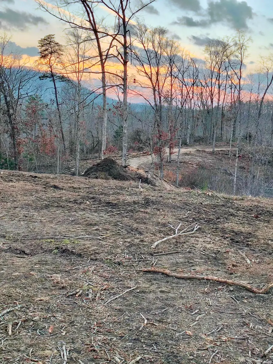 Lot 3 Woodland Estates, Irvine, KY 40336 - #3