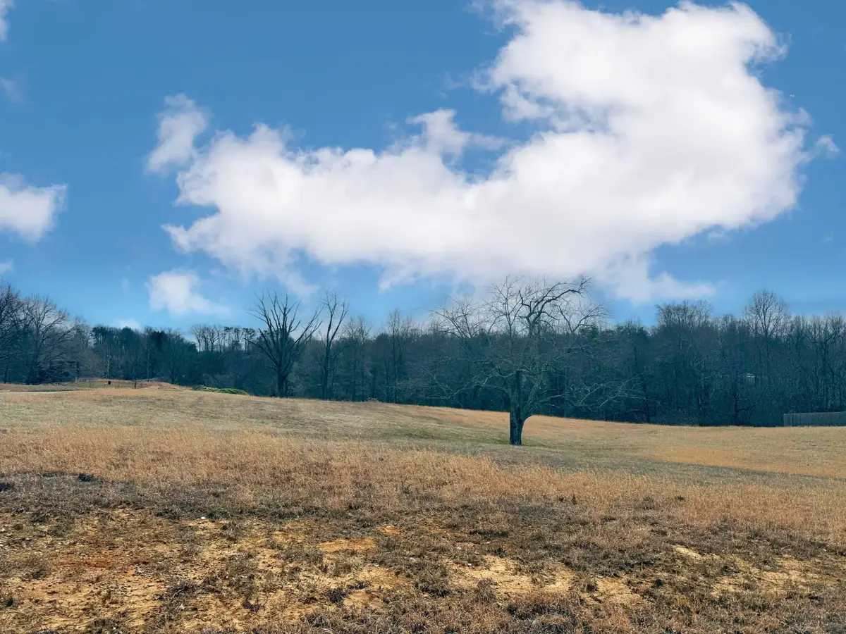 75 Morning Mist Drive, Somerset, KY 42501 - #1