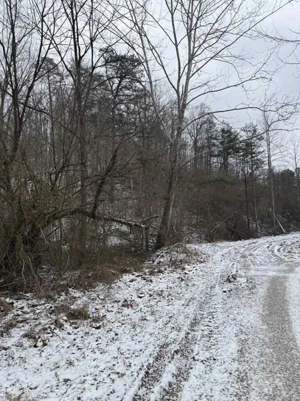 0 Briar Fork Road, Sandy Hook, KY 41171