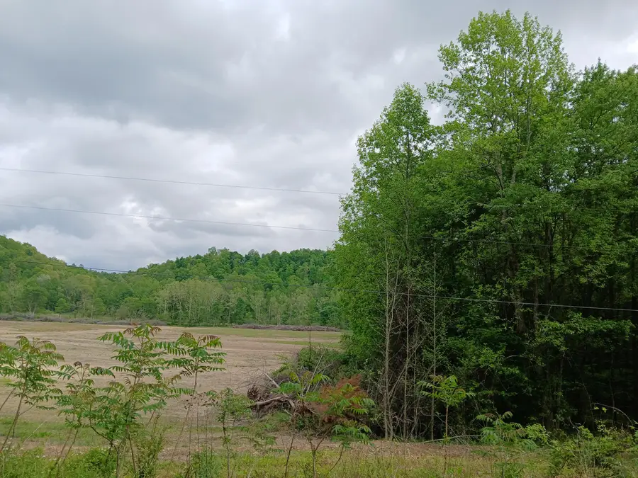 Track F Brad Petrey Road, Waynesburg, KY 40489 - #2