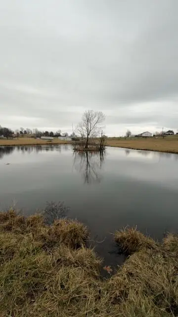 tract 22  E Highway 635 #22, Science Hill, KY 42553 - #3