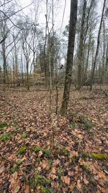 Tract 20 Buck Tail Drive #20, Burnside, KY 42519 - #3