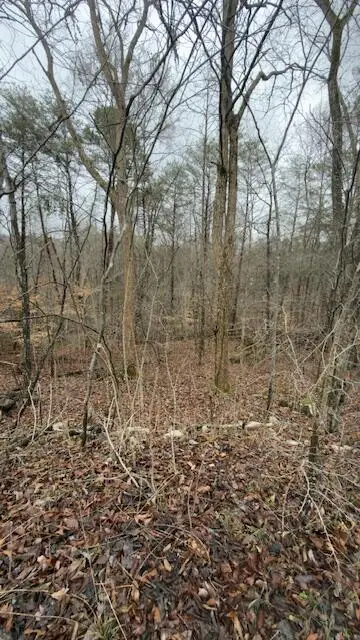 Tract 21 Buck Tail Drive #5.3, Bronston, KY 42518 - #1