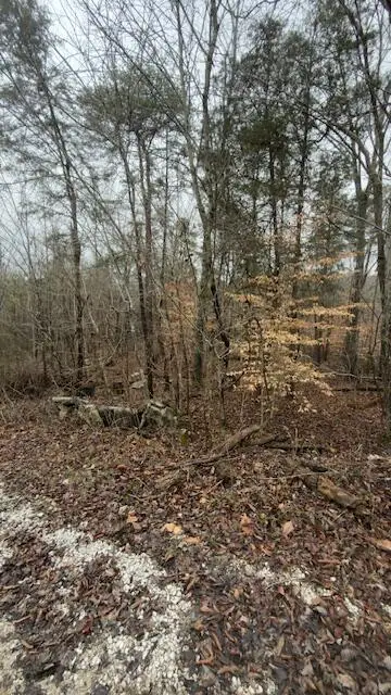 Tract 21 Buck Tail Drive #5.3, Bronston, KY 42518 - #2