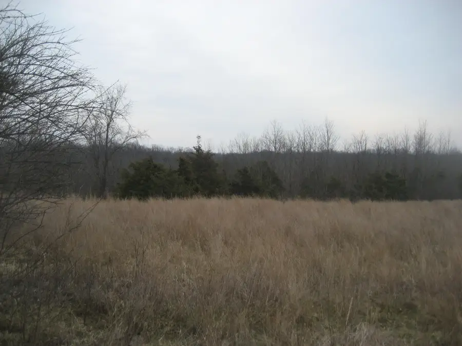 1234 Rutherford School Rd Rutherford School Road, Lawrenceburg, KY 40342 - #3